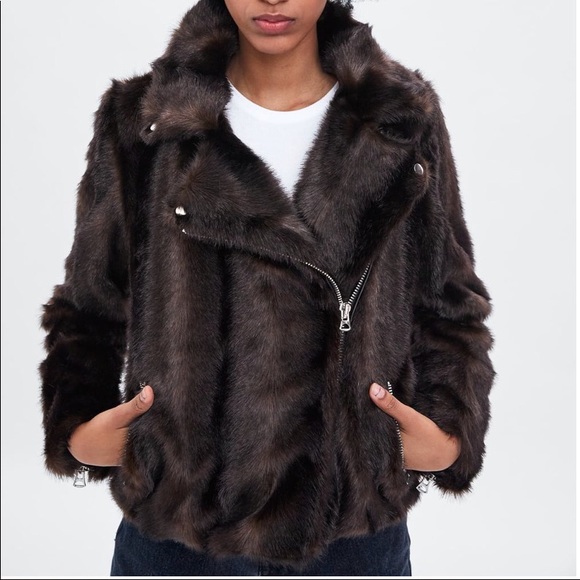 zara 4341